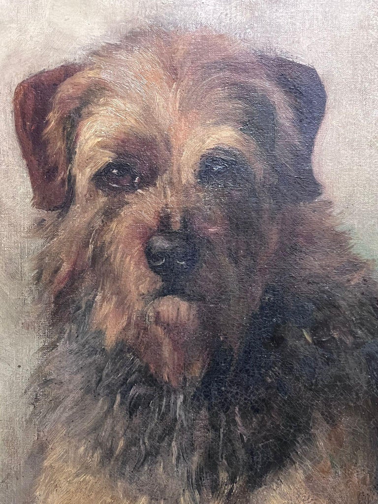 Border Terrier Portrait Signed Oil on Canvas Framed 20th Century - Image 7