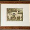 Fox Terriers 19th Century Chromolithograph from Cassell's Illustrated Book